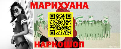 дмт Новокубанск